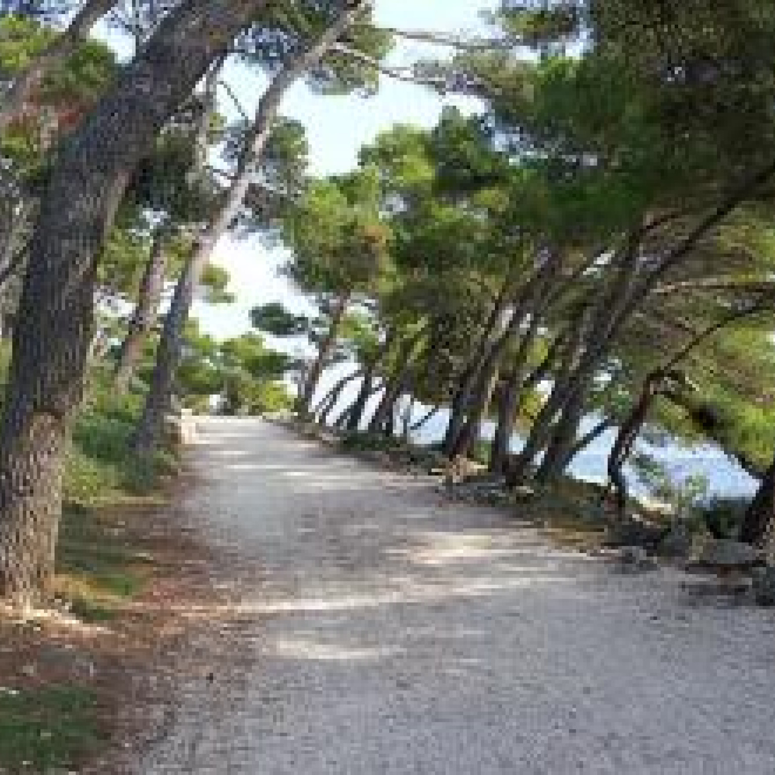 Cycling: Bale - Rovinj - Bale